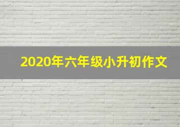 2020年六年级小升初作文