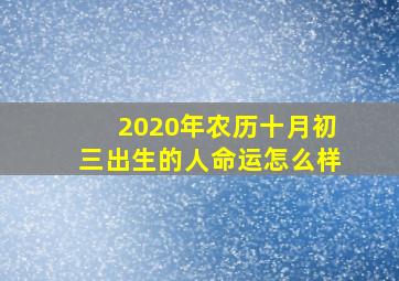 2020年农历十月初三出生的人命运怎么样