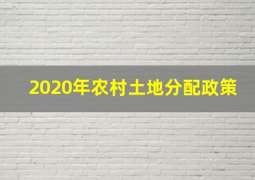 2020年农村土地分配政策