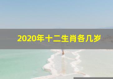 2020年十二生肖各几岁