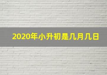 2020年小升初是几月几日