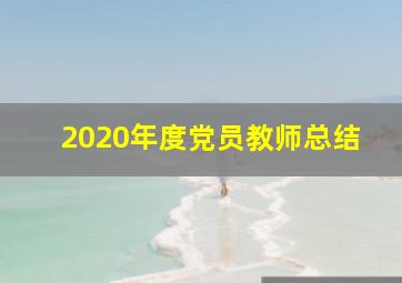 2020年度党员教师总结