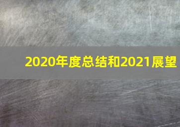 2020年度总结和2021展望