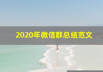 2020年微信群总结范文