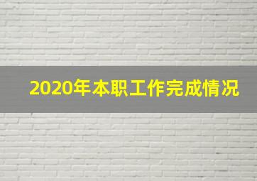 2020年本职工作完成情况