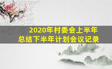 2020年村委会上半年总结下半年计划会议记录