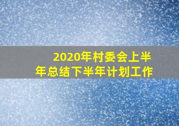 2020年村委会上半年总结下半年计划工作