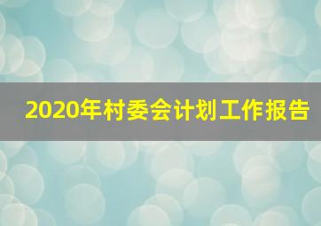 2020年村委会计划工作报告