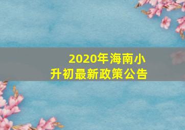 2020年海南小升初最新政策公告