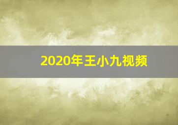 2020年王小九视频