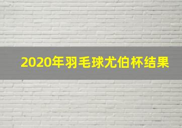 2020年羽毛球尤伯杯结果