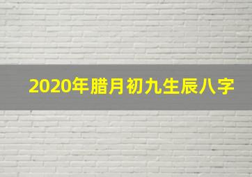 2020年腊月初九生辰八字