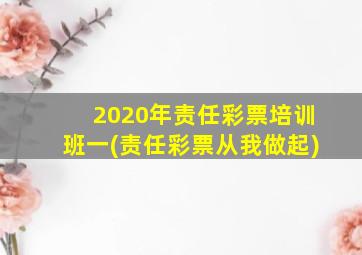 2020年责任彩票培训班一(责任彩票从我做起)