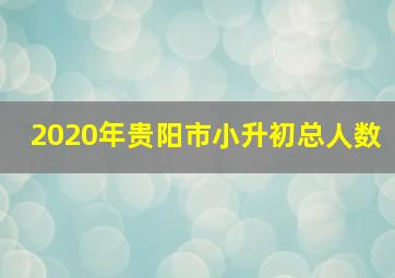 2020年贵阳市小升初总人数