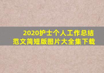 2020护士个人工作总结范文简短版图片大全集下载