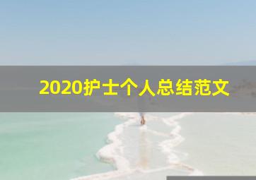 2020护士个人总结范文