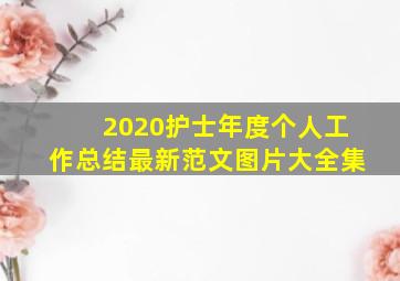 2020护士年度个人工作总结最新范文图片大全集