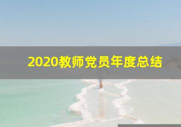 2020教师党员年度总结