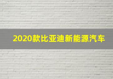 2020款比亚迪新能源汽车