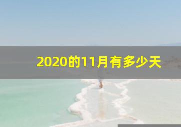 2020的11月有多少天