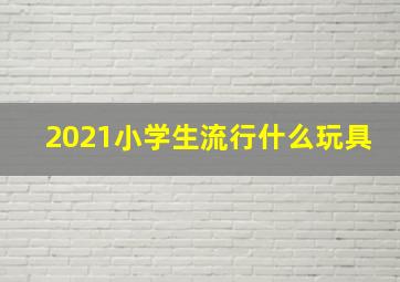 2021小学生流行什么玩具