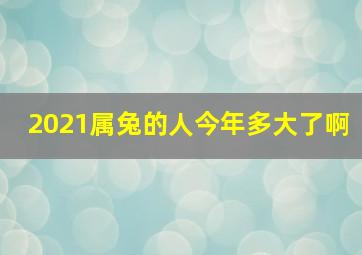 2021属兔的人今年多大了啊