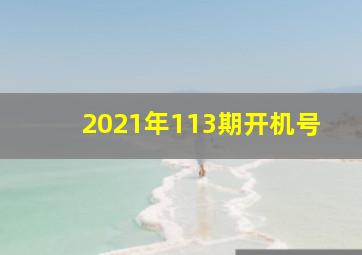 2021年113期开机号