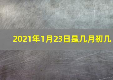 2021年1月23日是几月初几