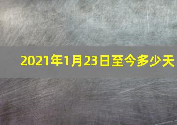 2021年1月23日至今多少天