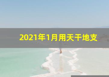 2021年1月用天干地支