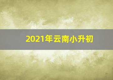 2021年云南小升初