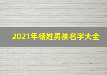 2021年杨姓男孩名字大全