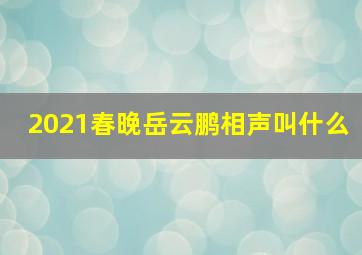 2021春晚岳云鹏相声叫什么