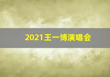 2021王一博演唱会