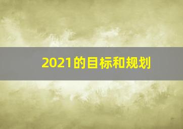 2021的目标和规划