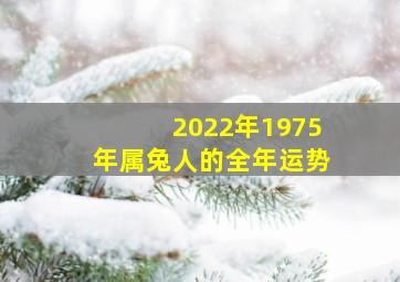 2022年1975年属兔人的全年运势