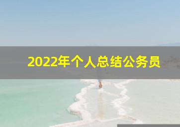 2022年个人总结公务员