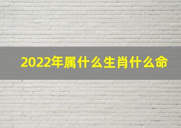 2022年属什么生肖什么命