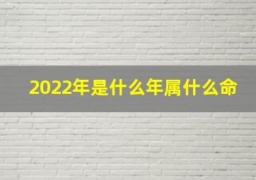 2022年是什么年属什么命