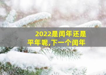 2022是闰年还是平年呢,下一个闰年