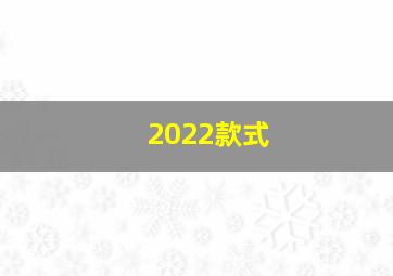 2022款式