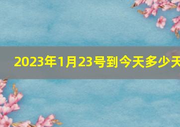 2023年1月23号到今天多少天