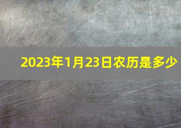 2023年1月23日农历是多少