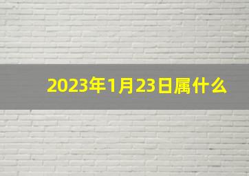 2023年1月23日属什么