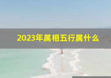 2023年属相五行属什么