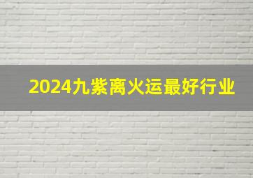 2024九紫离火运最好行业