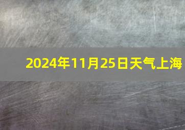 2024年11月25日天气上海