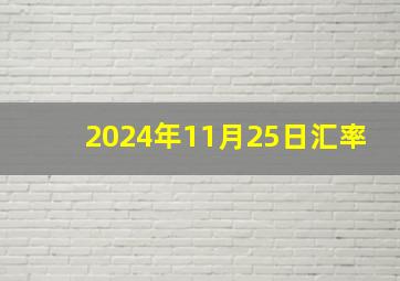 2024年11月25日汇率