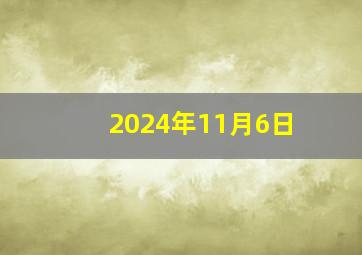 2024年11月6日