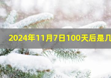 2024年11月7日100天后是几号